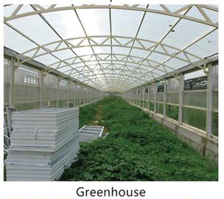 green house1.png